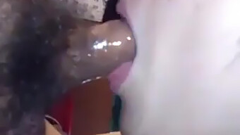 Amateur Asian Lady Gives Sloppy Oral And Swallows Cum