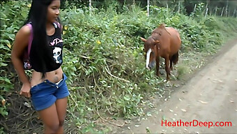 Next To A Horse In The Jungle: A High-Definition Peeing Experience