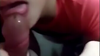 A Brazilian Amateur Gives Me A Deep Throat Blowjob In The Bathroom