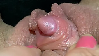 Amateur Hairy Pussy Compilation With Pov And Fetish Elements